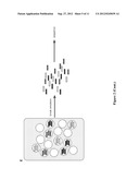 Entangled Mate Sequencing diagram and image