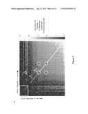 Entangled Mate Sequencing diagram and image