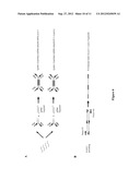 Entangled Mate Sequencing diagram and image