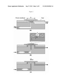 DEBUBBLER FOR MICROFLUIDIC SYSTEMS diagram and image