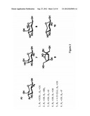 High-Throughput Assay for Sugar-Mediated Drug Transport diagram and image