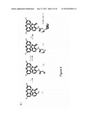 High-Throughput Assay for Sugar-Mediated Drug Transport diagram and image