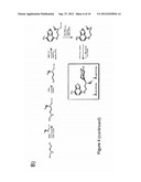 High-Throughput Assay for Sugar-Mediated Drug Transport diagram and image