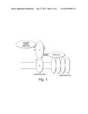 BIGLYCAN AND RELATED THERAPEUTICS AND METHODS OF USE diagram and image