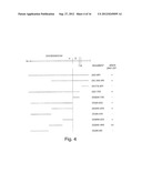 BIGLYCAN AND RELATED THERAPEUTICS AND METHODS OF USE diagram and image