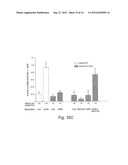 BIGLYCAN AND RELATED THERAPEUTICS AND METHODS OF USE diagram and image