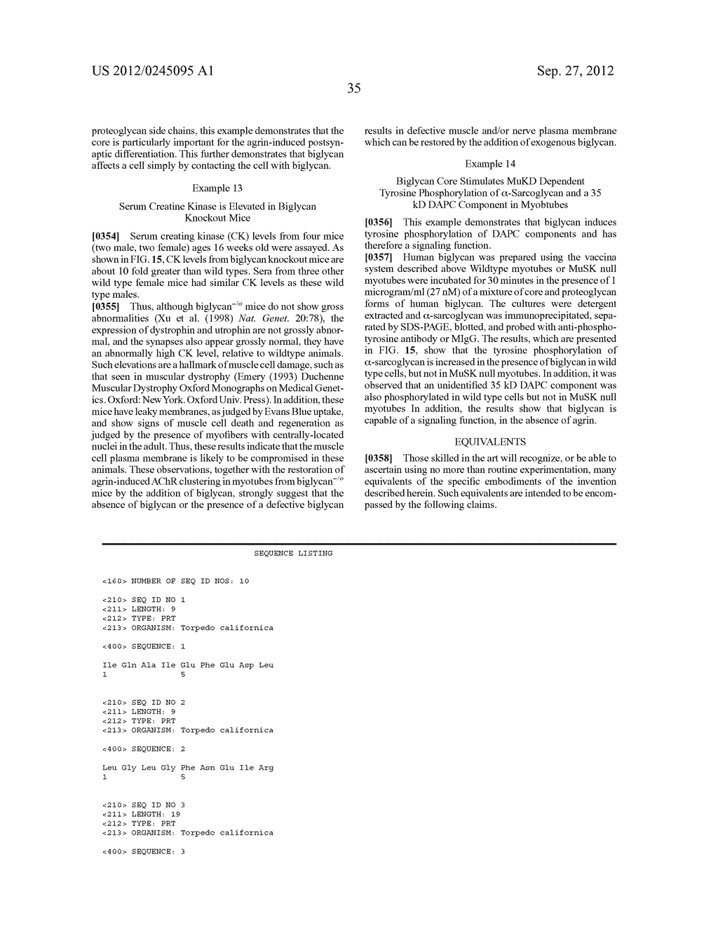 BIGLYCAN AND RELATED THERAPEUTICS AND METHODS OF USE - diagram, schematic, and image 52