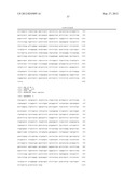 BIGLYCAN AND RELATED THERAPEUTICS AND METHODS OF USE diagram and image