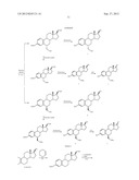 6-SUBSTITUTED ESTRADIOL DERIVATIVES FOR USE IN REMYELINATION OF NERVE     AXONS diagram and image