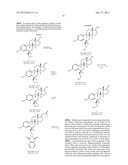 6-SUBSTITUTED ESTRADIOL DERIVATIVES FOR USE IN REMYELINATION OF NERVE     AXONS diagram and image