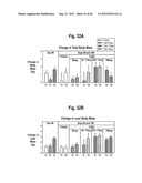 ANDROGEN PHARMACEUTICAL COMPOSITION AND METHOD FOR TREATING DEPRESSION diagram and image