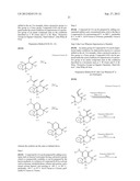 FUSED HETEROCYCLIC COMPOUND HAVING AMINO GROUP diagram and image