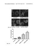 AUTOPHAGY INDUCING COMPOUND AND THE USES THEREOF diagram and image