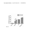 AUTOPHAGY INDUCING COMPOUND AND THE USES THEREOF diagram and image