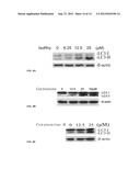 AUTOPHAGY INDUCING COMPOUND AND THE USES THEREOF diagram and image