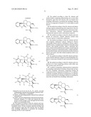 AUTOPHAGY INDUCING COMPOUND AND THE USES THEREOF diagram and image