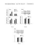 COMPOSITIONS AND METHODS FOR TREATMENT OF NEUROPATHIC PAIN diagram and image