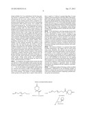 SURFACE MODIFIED NANOPARTICLES, METHODS OF THEIR PREPARATION, AND USES     THEREOF FOR GENE AND DRUG DELIVERY diagram and image