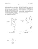 SURFACE MODIFIED NANOPARTICLES, METHODS OF THEIR PREPARATION, AND USES     THEREOF FOR GENE AND DRUG DELIVERY diagram and image