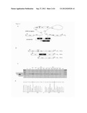 NUCLEIC ACID MOLECULES AND METHODS FOR EXCHANGING EXON(S) BY TRANSSPLICING diagram and image