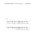 NUCLEIC ACID MOLECULES AND METHODS FOR EXCHANGING EXON(S) BY TRANSSPLICING diagram and image