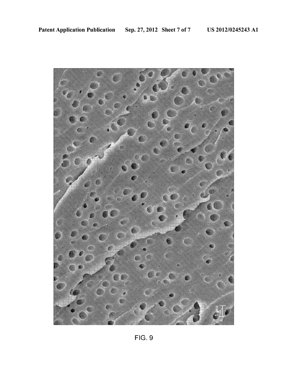 PROCESS FOR PRODUCING A POLYURETHANE FOAM BY MEANS OF SUPERCRITICAL OR     NEAR-CRITICAL BLOWING AGENT - diagram, schematic, and image 08