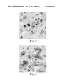 HIGH MAGNESIUM SURFACE CONCENTRATION NANOCALCITE COMPOSITES diagram and image