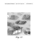 HIGH MAGNESIUM SURFACE CONCENTRATION NANOCALCITE COMPOSITES diagram and image