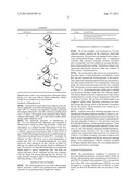 Branched Vinyl Terminated Polymers And Methods For Production Thereof diagram and image