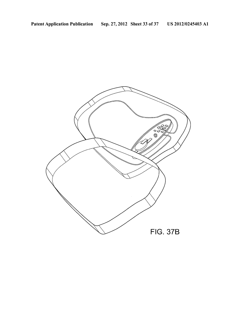 Insole Electromagnetic Therapy Device - diagram, schematic, and image 34