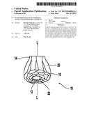 Water Disposable Head Comprising Plural Water Disposable Materials diagram and image