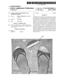 SANDAL TOE COVER APPARATUS AND METHODS THEREOF diagram and image