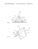 STRUCTURAL ASSEMBLY WITH A TIED, FLEXURALLY DEFORMED PANEL diagram and image