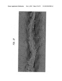 Absorbent Fabric-Creped Cellulosic Web For Tissue And Towel Products diagram and image