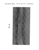 Absorbent Fabric-Creped Cellulosic Web For Tissue And Towel Products diagram and image