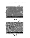 TRANSPARENT CONDUCTIVE MATERIAL diagram and image