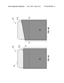 COATING ON PDC/TSP CUTTER FOR ACCELERATED LEACHING diagram and image