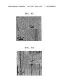 NANO/MICRO-SIZED DIODE AND METHOD OF PREPARING THE SAME diagram and image