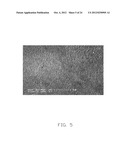 THERMOACOUSTIC DEVICE diagram and image