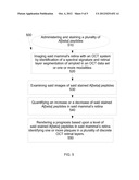 APPARATUS AND METHOD FOR IDENTIFYING ONE OR MORE AMYLOID BETA PLAQUES IN A     PLURALITY OF DISCRETE OCT RETINAL LAYERS diagram and image