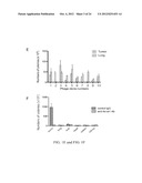 Methods and Compositions Related to Annexin 1-Binding Compounds diagram and image