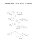 Methods and Compositions Related to Annexin 1-Binding Compounds diagram and image