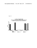 Human Anti-IL-23 Antibodies, Compositions, Methods and Uses diagram and image