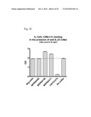 Human Anti-IL-23 Antibodies, Compositions, Methods and Uses diagram and image