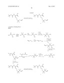 NOVEL MACROCYCLIC INHIBITORS OF HEPATITIS C VIRUS REPLICATION diagram and image