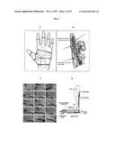 TARGETED DELIVERY OF THERAPEUTIC AGENTS WITH LYOPHILIZED MATRICES diagram and image