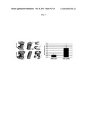 TARGETED DELIVERY OF THERAPEUTIC AGENTS WITH LYOPHILIZED MATRICES diagram and image