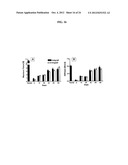 TARGETED DELIVERY OF THERAPEUTIC AGENTS WITH LYOPHILIZED MATRICES diagram and image