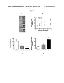 TARGETED DELIVERY OF THERAPEUTIC AGENTS WITH LYOPHILIZED MATRICES diagram and image