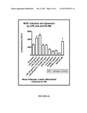 PODOCYTE SPECIFIC ASSAYS AND USES THEREOF diagram and image